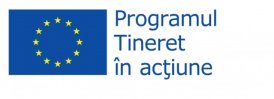 tineret-in-actiune-logo